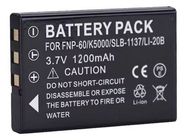 batterie CASIO CNP-30